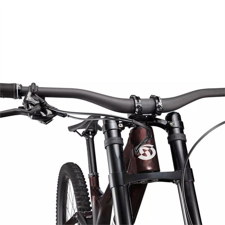 women's downhill mountain bike6