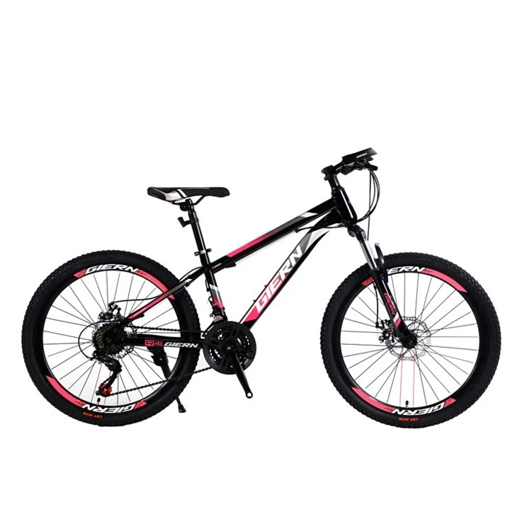 21 Speed Hardtail Mtb