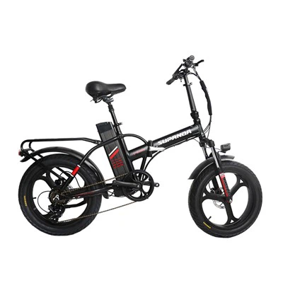Bicicleta eléctrica plegable de 350W
