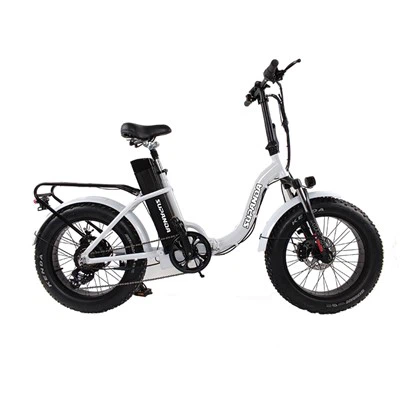 Bicicleta de montaña plegable eléctrica