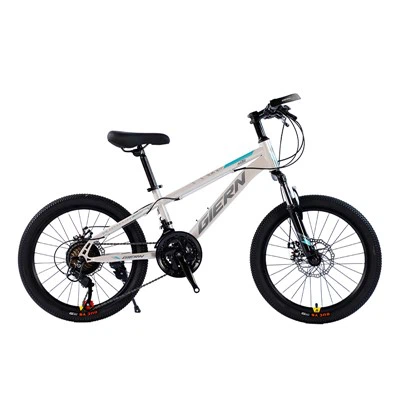 Bicicleta de turismo rígida