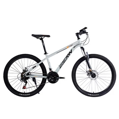 MTB rígida con estructura de acero