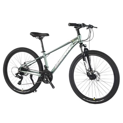 Bicicleta de montaña de 21 velocidades para mujer