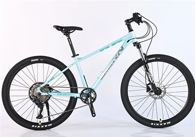 ¿Cómo distinguir una bicicleta de montaña de buena calidad?