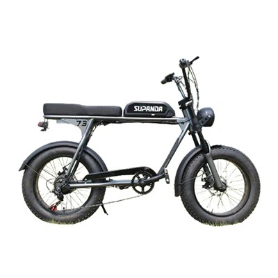 Bicicleta de montaña de 500 vatios