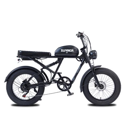 Bicicleta de montaña eléctrica de 750 W